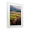Stupell Industries Vast Horizon Of Flowers Framed Print Under Glass, design by Svetlana Aleynikova